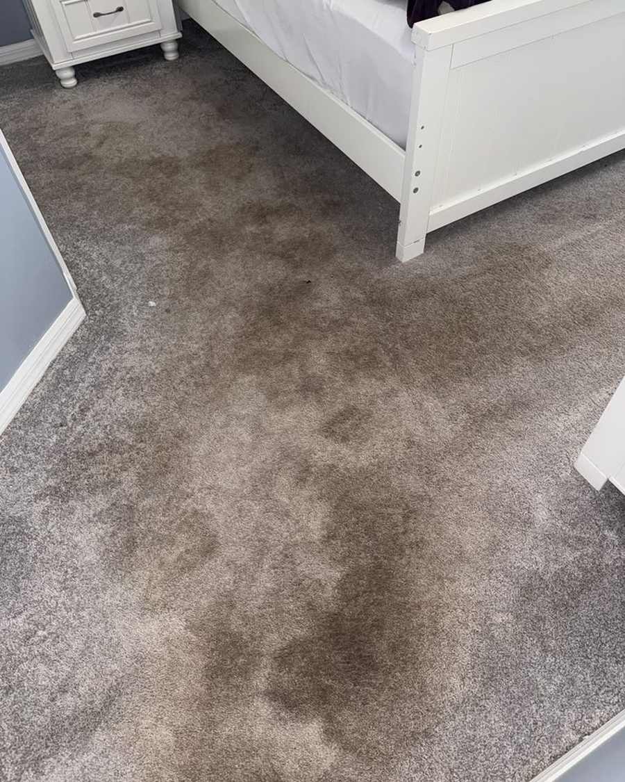 Heavily soiled bedroom carpet before professional cleaning